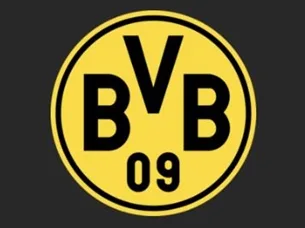 BVBIA-GA Summer Cup logo