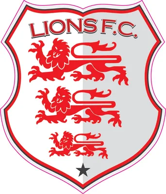 Lions FC Memorial Day logo