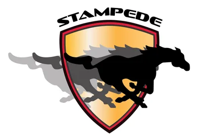 Mustang Stampede - Boys and Girls Youngers (U11-U13) logo