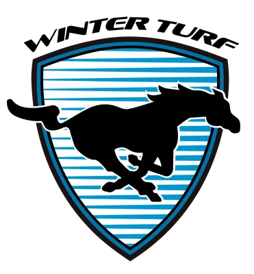 Mustang Stampede Winter Turf Boys (U11-U14) logo
