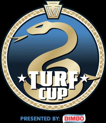 Philadelphia Union Indoor 7v7 Turf Cup '25 logo
