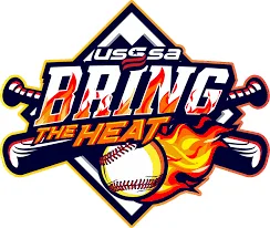 (SAT) Bring The Heat - Enterprise logo