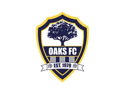 Summer Cup-2025 logo